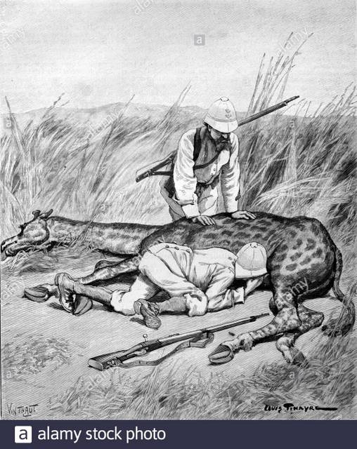 girafe.jpg